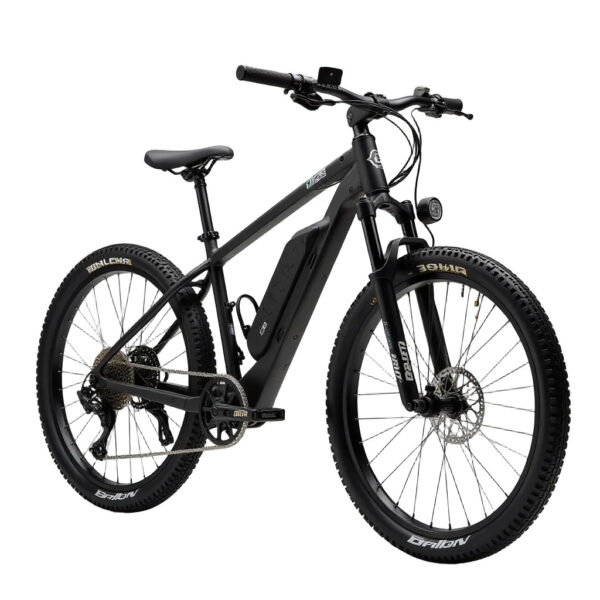 High Performance 21 Speed Electric Mountain Bike